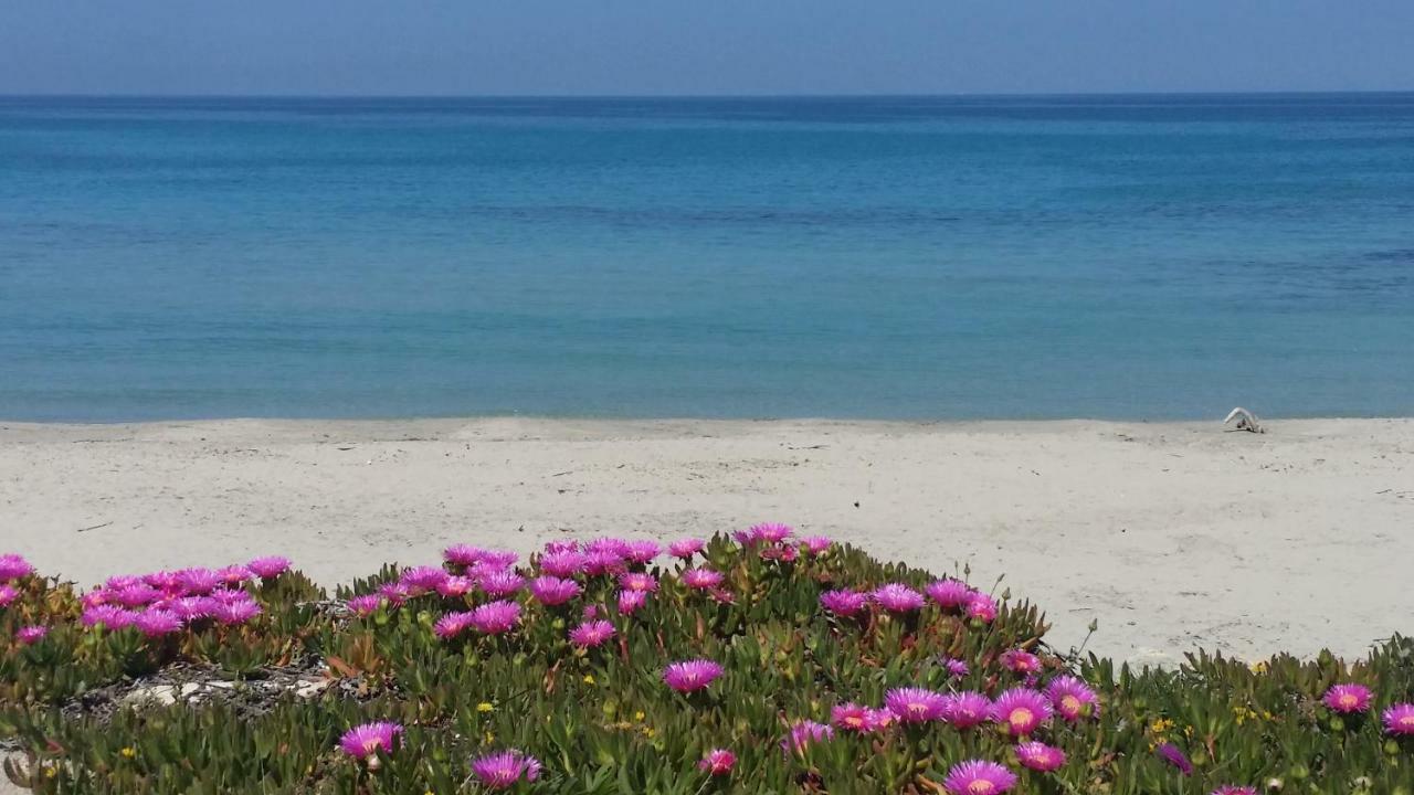 Casa Azzurra Lägenhet San Foca Exteriör bild